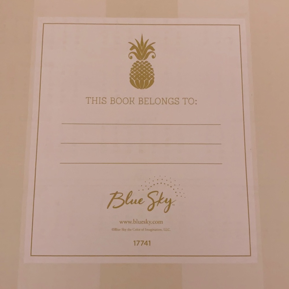 🆕 Blue Sky Notebook - Picture 4 of 10